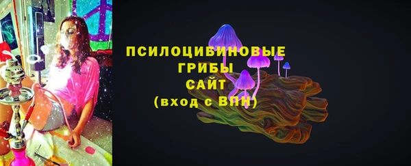 гидропоника Абаза