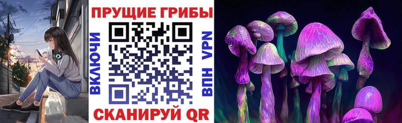 Псилоцибиновые грибы Psilocybe  наркота  hydra сайт  Монино 